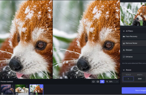 Topaz Photo AI 1.1.4 + Portable 5