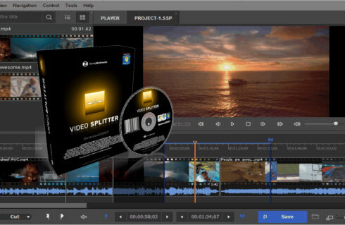SolveigMM Video Splitter v8.1.2508.21 + Portable 35