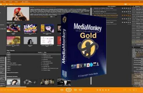 MediaMonkey Gold v2024.2.0.3174 RC-1 + Portable 5