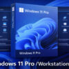 Windows 11 Pro 25H2 / Pro Workstations (December 2025) Fr 4